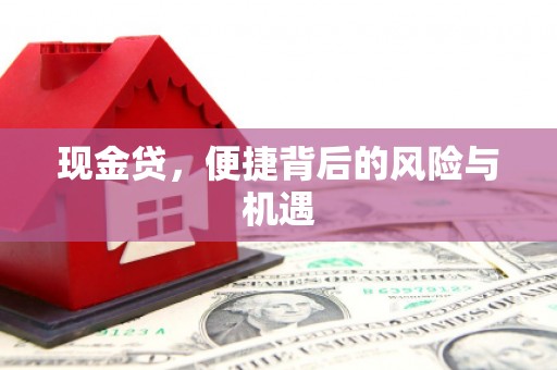 道县现金贷，便捷背后的风险与机遇
