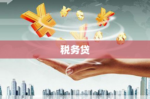 道县税务贷