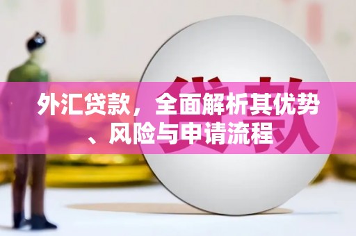 道县外汇贷款，全面解析其优势、风险与申请流程
