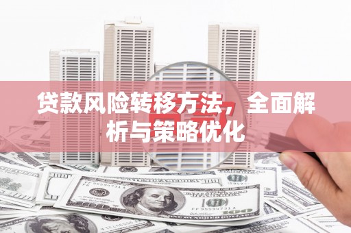 道县贷款风险转移方法，全面解析与策略优化