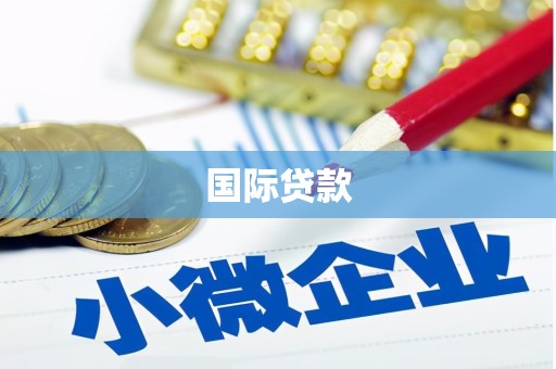 道县国际贷款