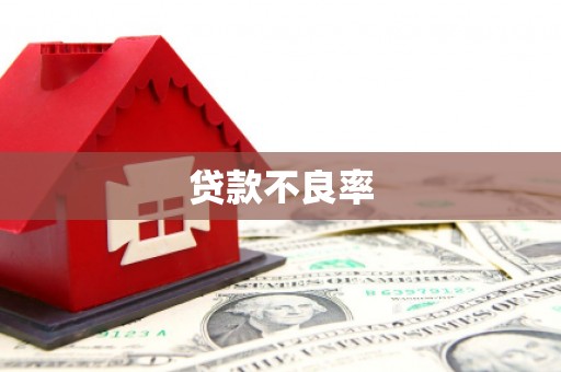 道县贷款不良率