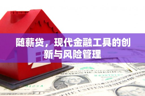 道县随薪贷，现代金融工具的创新与风险管理