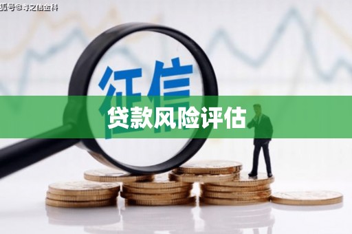 道县贷款风险评估