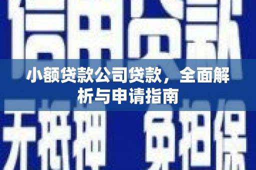 道县小额贷款公司贷款，全面解析与申请指南