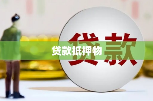 道县贷款抵押物