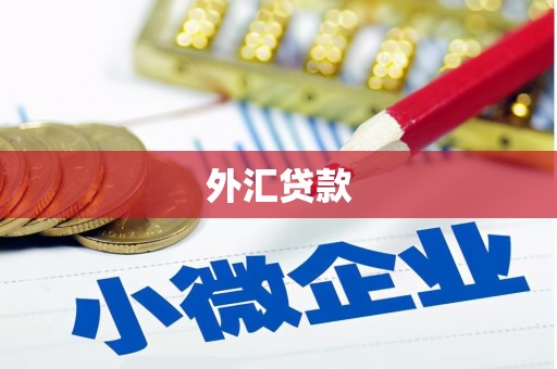道县外汇贷款