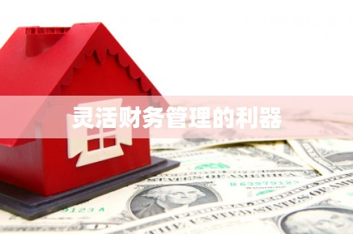 道县灵活财务管理的利器