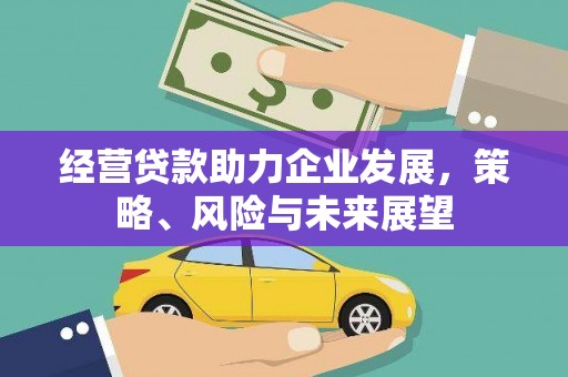 道县经营贷款助力企业发展，策略、风险与未来展望