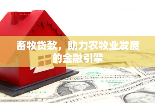 道县畜牧贷款，助力农牧业发展的金融引擎