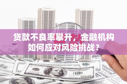 道县贷款不良率攀升，金融机构如何应对风险挑战？