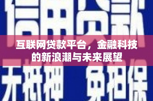 道县互联网贷款平台，金融科技的新浪潮与未来展望