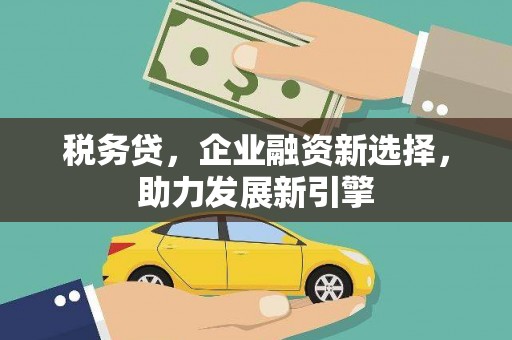 道县税务贷，企业融资新选择，助力发展新引擎