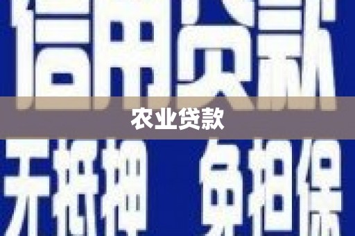 道县农业贷款