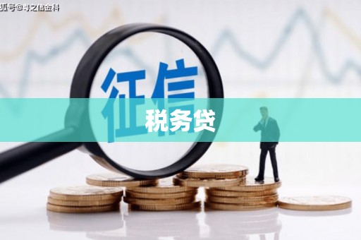 道县税务贷