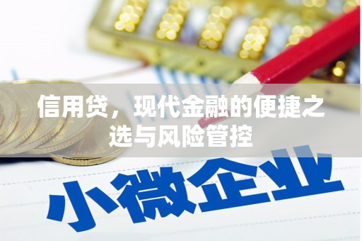 道县信用贷，现代金融的便捷之选与风险管控
