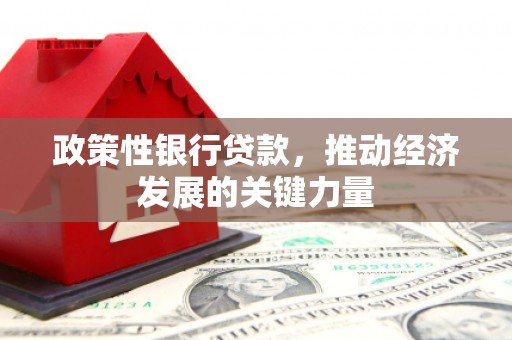 道县政策性银行贷款，推动经济发展的关键力量