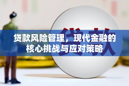 道县贷款风险管理，现代金融的核心挑战与应对策略