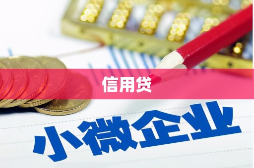 道县信用贷