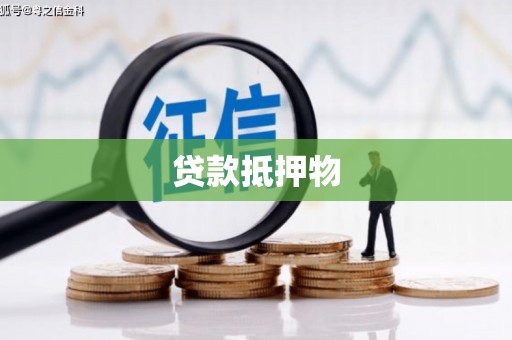 道县贷款抵押物