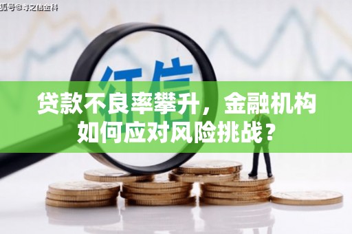 道县贷款不良率攀升，金融机构如何应对风险挑战？