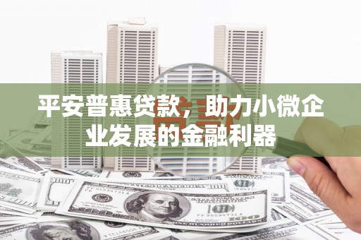 道县平安普惠贷款，助力小微企业发展的金融利器