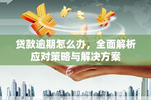 道县贷款逾期怎么办，全面解析应对策略与解决方案