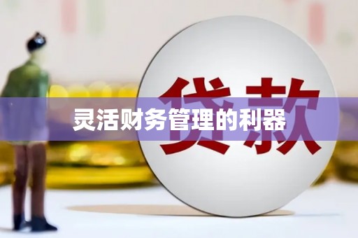 道县灵活财务管理的利器