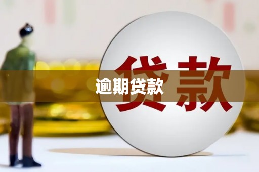 道县逾期贷款