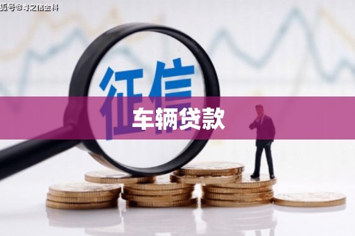 道县车辆贷款